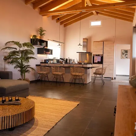 Roberto By Don Robertos Paraiso * Parque Holandes