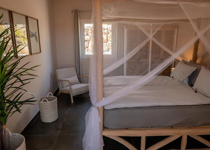 Roberto By Don Robertos Paraíso Parque Holandes