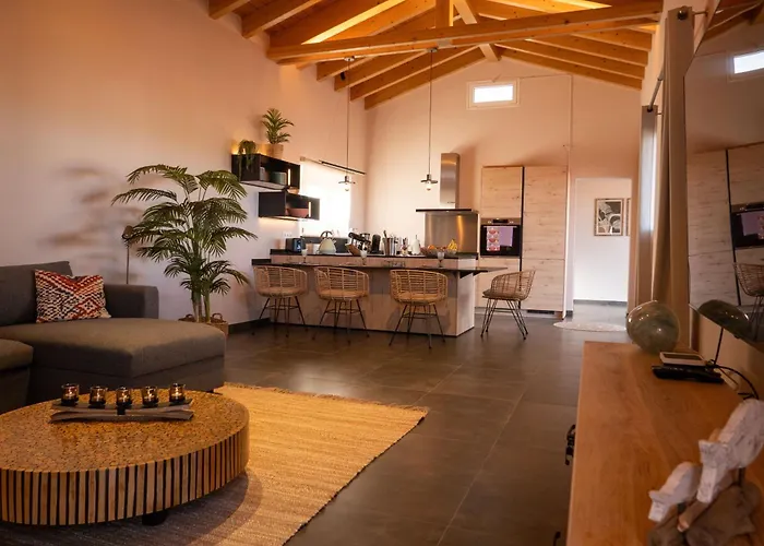 Roberto By Don Robertos Paraiso * Parque Holandes